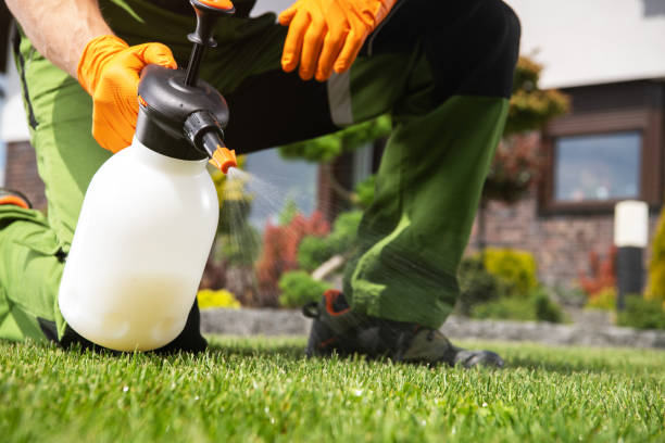 Best Mosquito Control Services  in Progress, PA