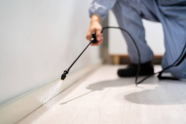 Professional Pest Control in Progress, PA